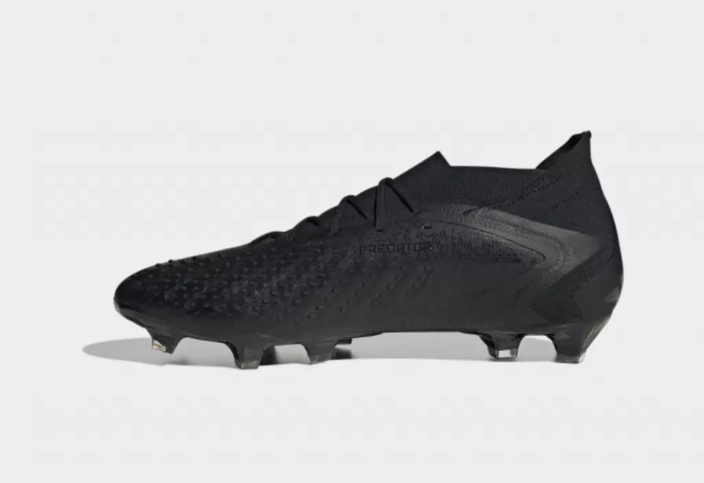 Бутсы профессиональные Adidas Predator Accuracy.1 FG